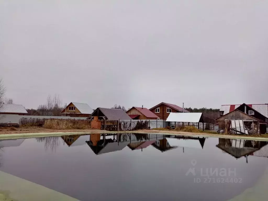 Дом в Нижегородская область, Бор городской округ, д. Селищи 11 (190 м) - Фото 1