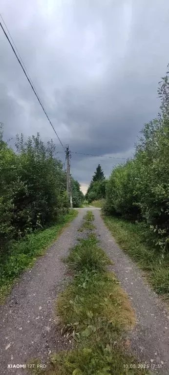 Участок в Ленинградская область, Волховский район, Кисельнинское ... - Фото 2