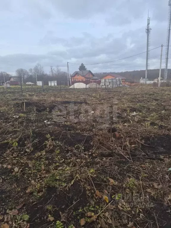 Участок в Мордовия, Рузаевский район, с. Татарский Шебдас  (32.0 сот.) - Фото 2