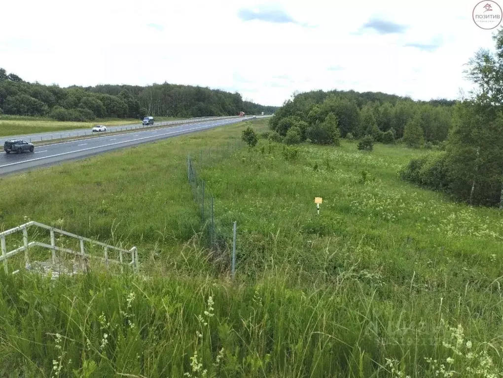 Участок в Ярославская область, Гаврилов-Ямский муниципальный округ, ... - Фото 1