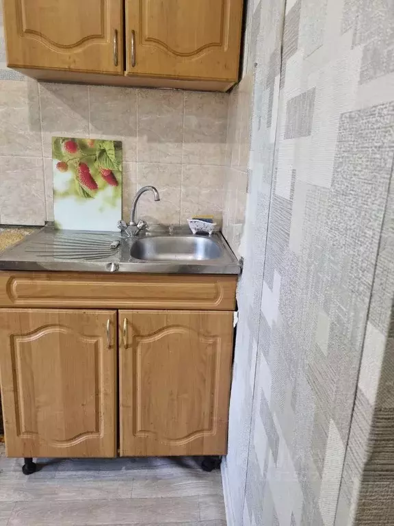 2-к кв. Свердловская область, Екатеринбург ул. Большакова, 13 (48.0 м) - Фото 2