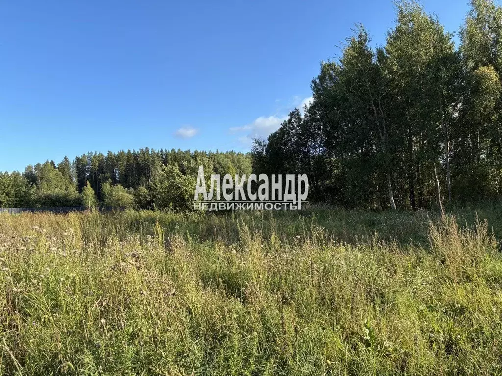 Участок в Ленинградская область, Приозерский район, Мельниковское ... - Фото 2