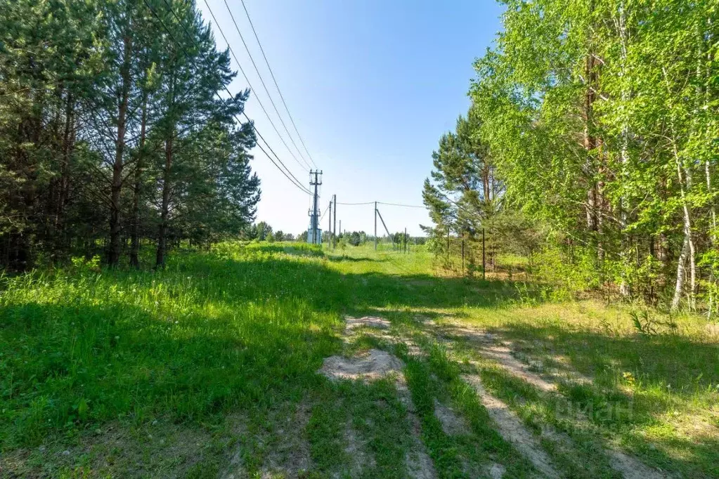 Участок в Тюменская область, Нижнетавдинский район, д. Красный Яр, ... - Фото 0