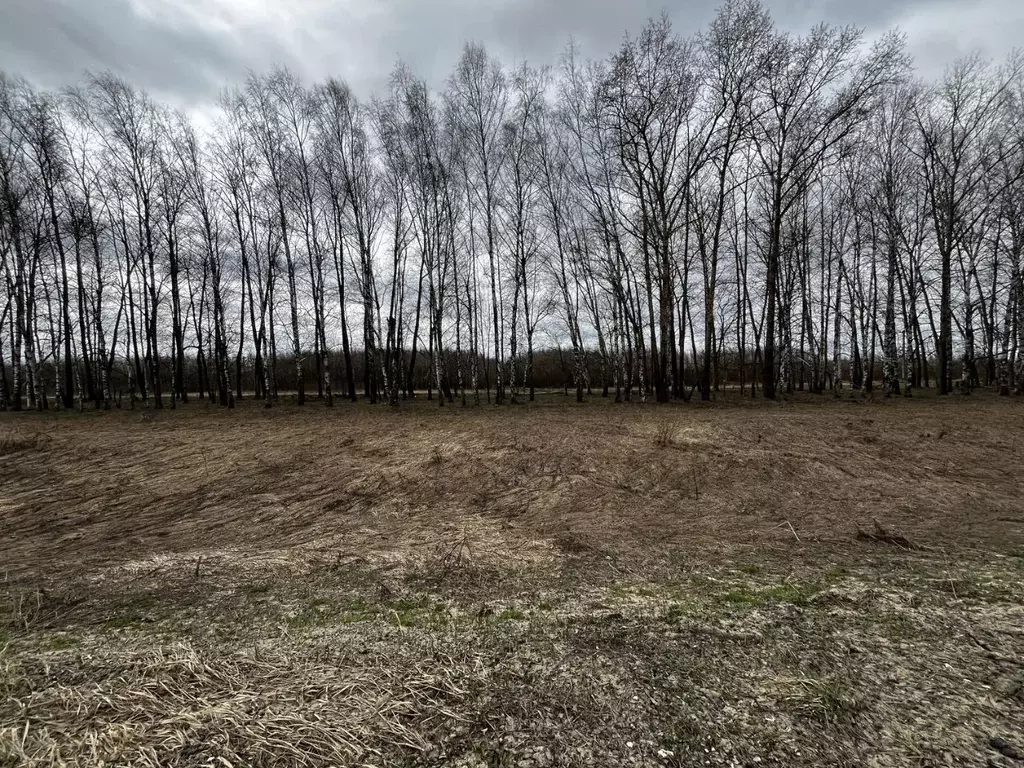 Участок в Владимирская область, Собинский муниципальный округ, с. ... - Фото 1