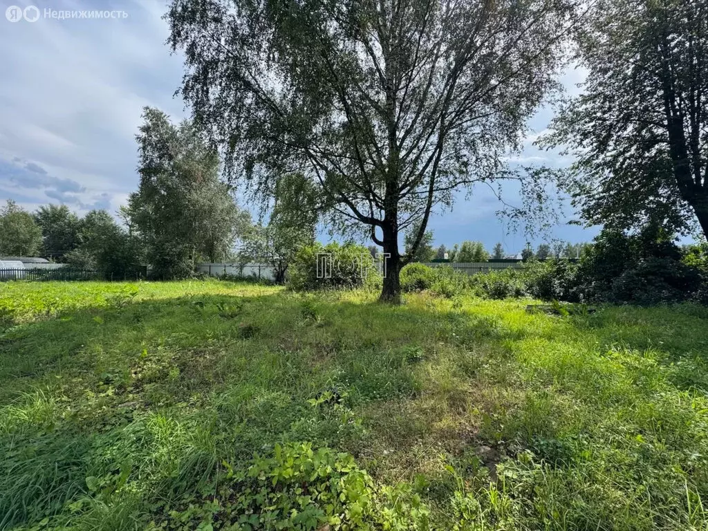 Участок в Пушкино, микрорайон Новая Деревня, улица Кирова (6.2 м) - Фото 2