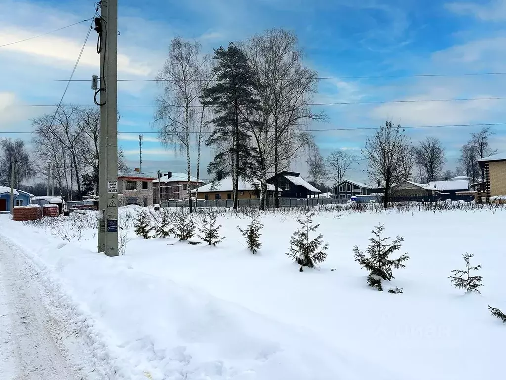 Участок в Московская область, Королев Первый кп, 61 (10.7 сот.) - Фото 2