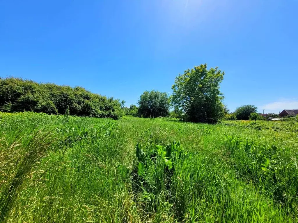 Участок в Краснодарский край, Северский район, Ильское городское ... - Фото 2