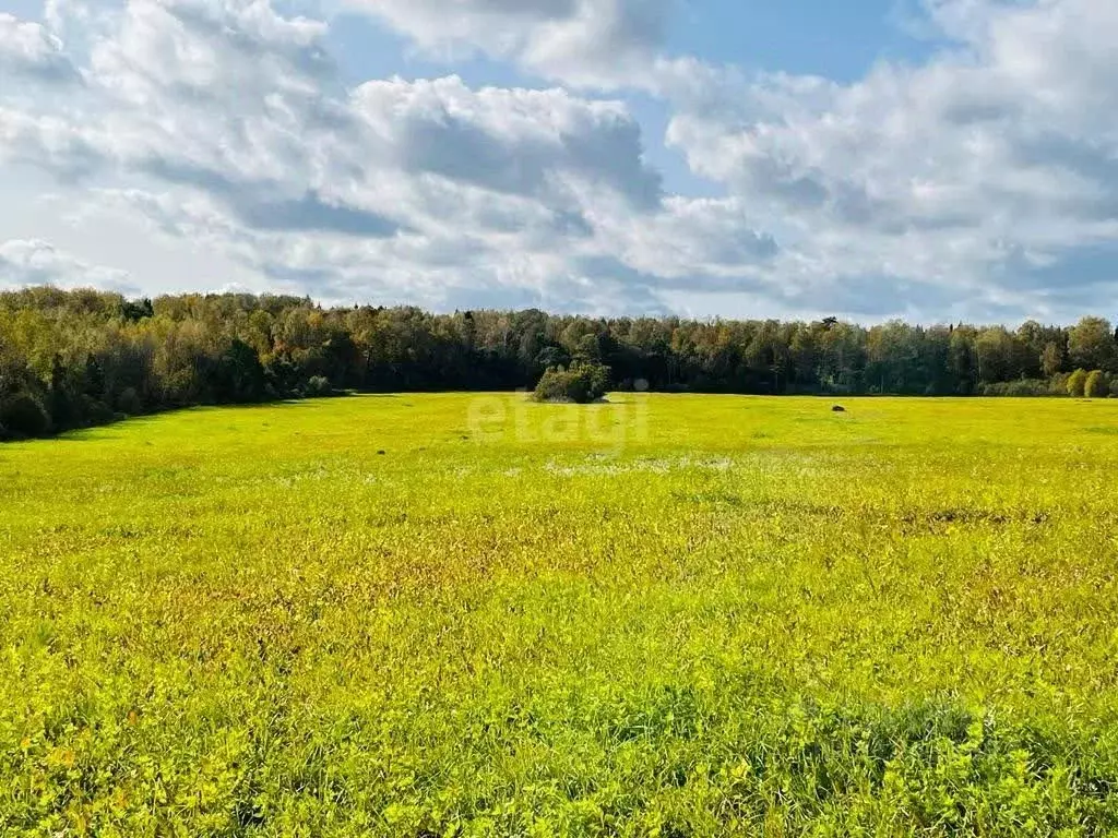 Участок в Калужская область, Износковский район, Ивановское с/пос, д. ... - Фото 1