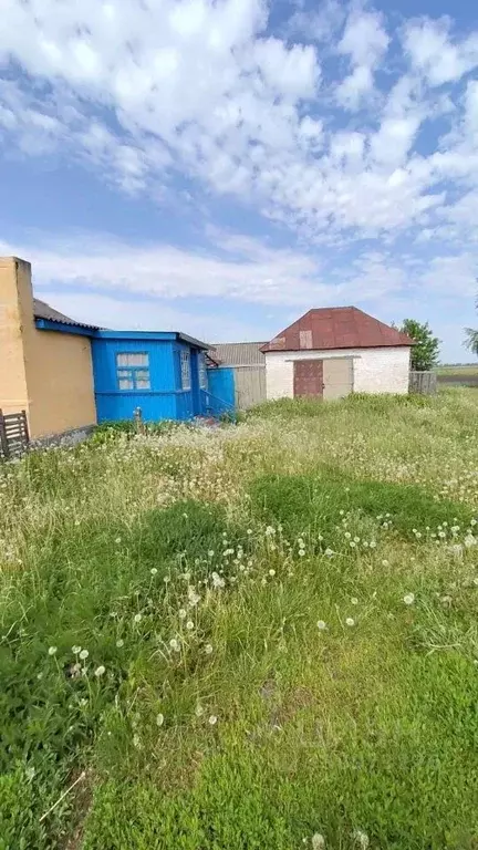 Дом в Тамбовская область, Тамбовский муниципальный округ, с. Борщевка ... - Фото 2