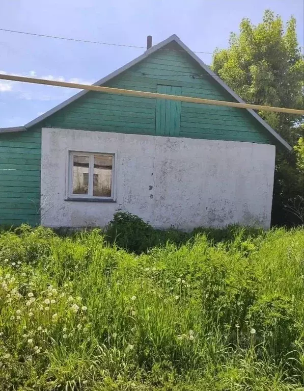 Дом в Новосибирская область, Черепаново ул. Строителей, 13 (32 м) - Фото 0