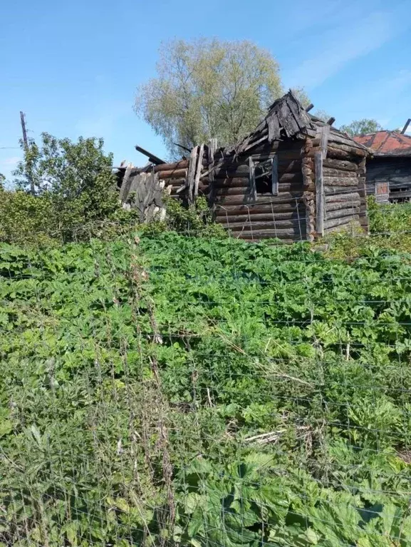 Участок в Нижегородская область, Сосновский муниципальный округ, д. ... - Фото 1