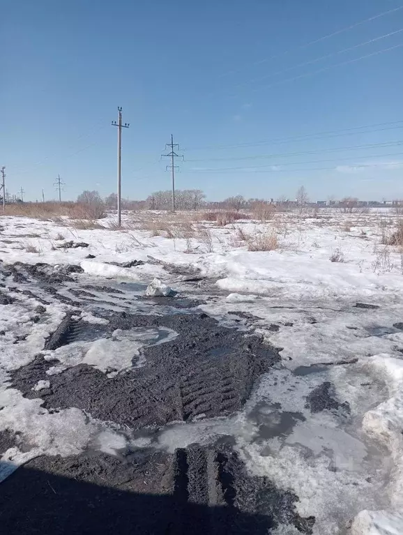 Участок в Челябинская область, Челябинск Тракторосад № 3 СНТ, дор. ... - Фото 1