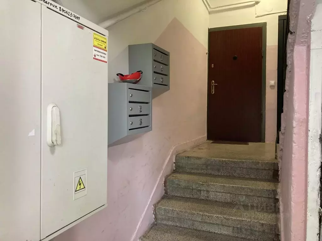 3-к кв. Калининградская область, Калининград ул. Александра Невского, ... - Фото 2