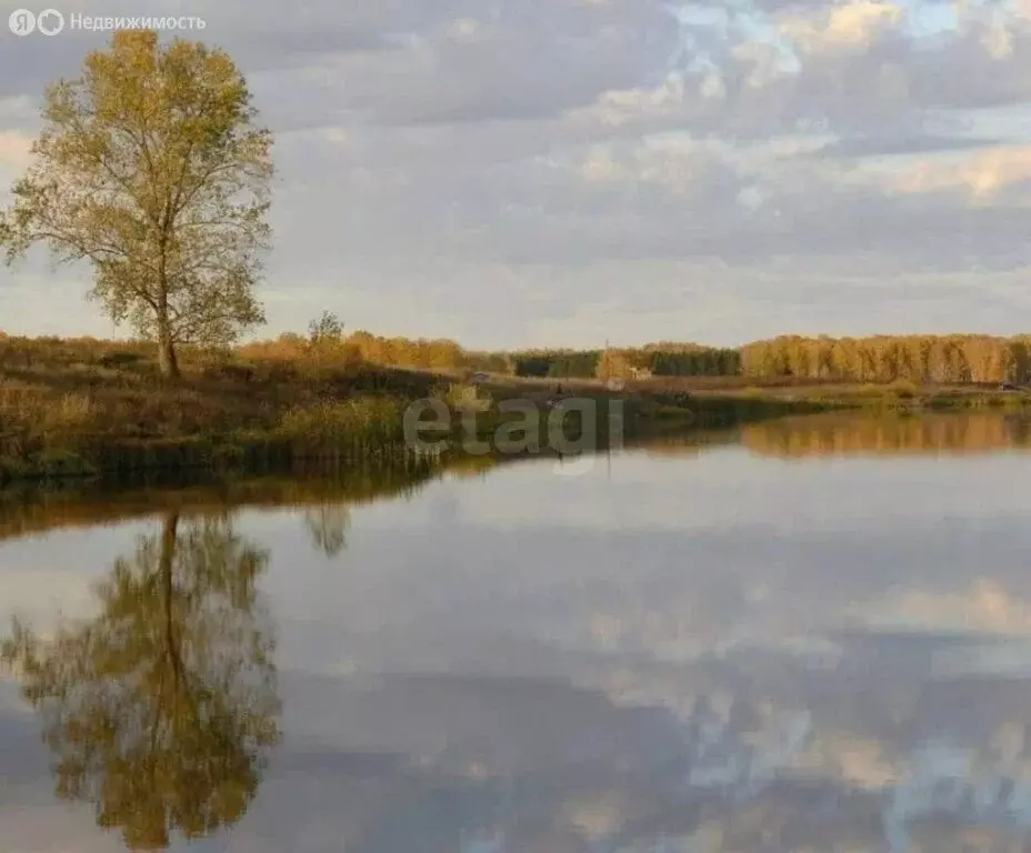 Участок в Челябинская область, Чебаркульский муниципальный округ, ... - Фото 1