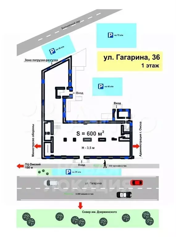Помещение свободного назначения в Омская область, Омск ул. Гагарина, ... - Фото 2