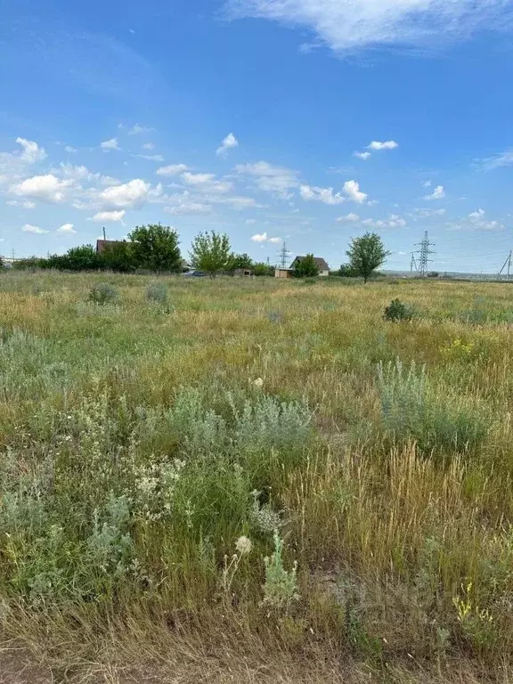 Участок в Саратовская область, с. Расловка 1-я ул. Вишневая (11.0 ... - Фото 2