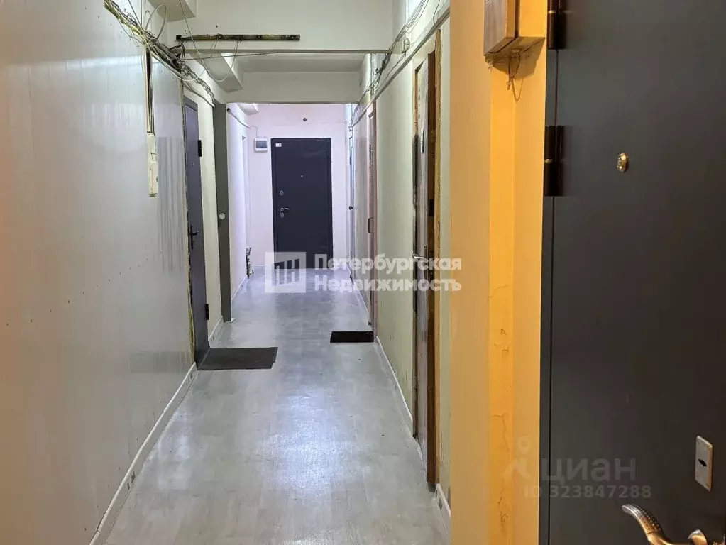 Комната Санкт-Петербург Выборгская наб., 35/1 (18.2 м) - Фото 2