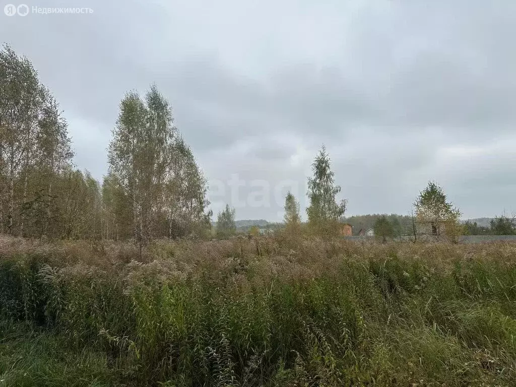 Участок в Тульская область, муниципальное образование Тула, село ... - Фото 0