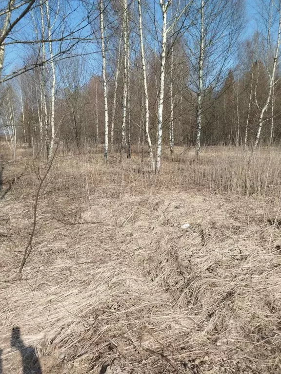 Участок в Московская область, Клин городской округ, д. Щекино  (14.15 ... - Фото 0