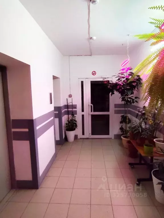 1-к кв. Алтайский край, Барнаул ул. Гущина, 150/24 (38.5 м) - Фото 2