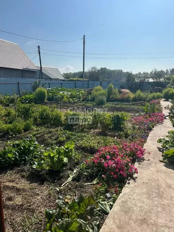 Дом в Башкортостан, Салават Мусинская ул. (40 м) - Фото 1