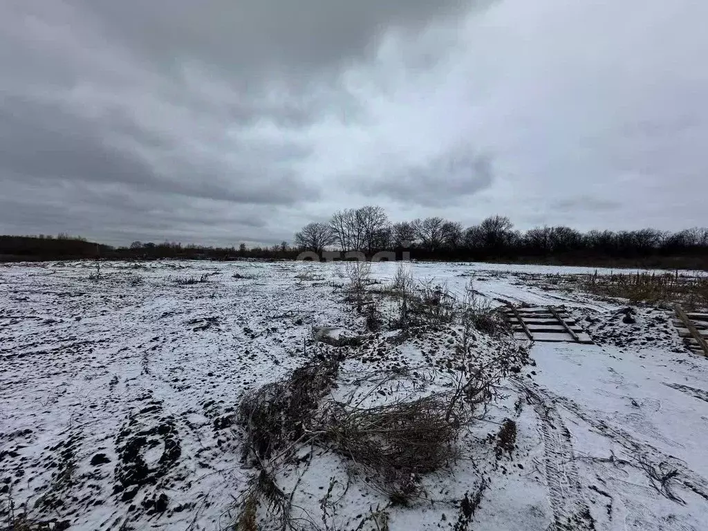 Участок в Воронежская область, Новоусманский район, с. Бабяково ... - Фото 0