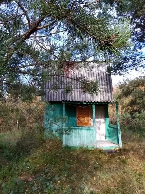 Дом в Нижегородская область, Семеновский муниципальный округ  (20 м) - Фото 1
