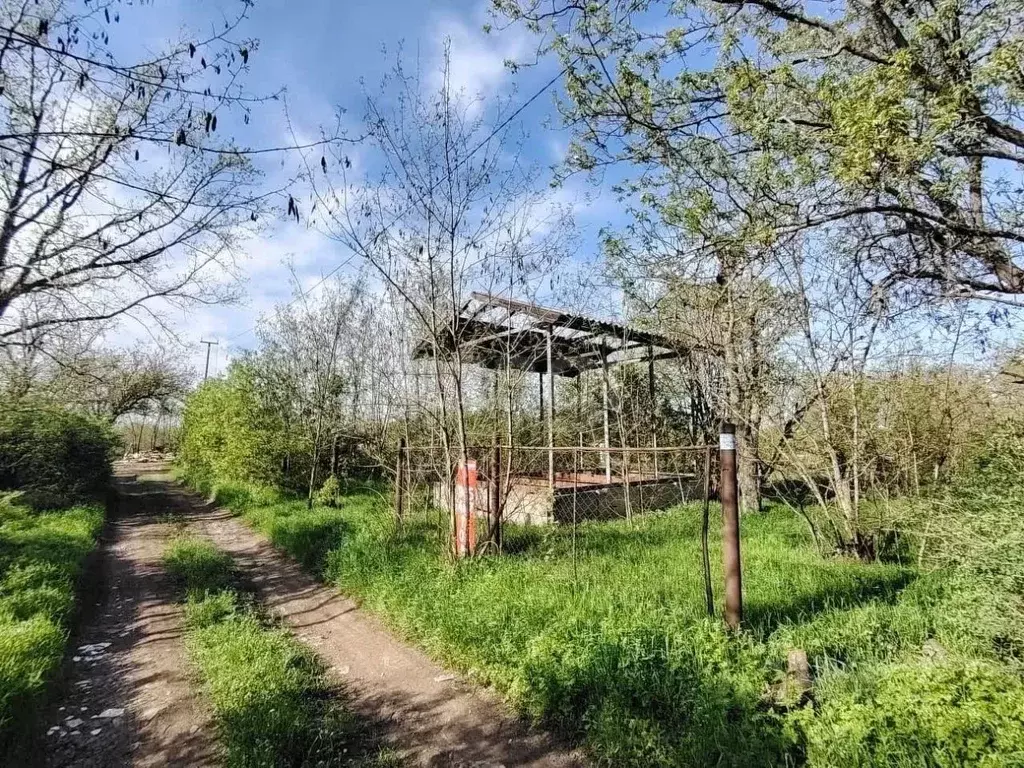 Участок в Ростовская область, Новочеркасск Виноградная Лоза СНТ, 459 ... - Фото 0