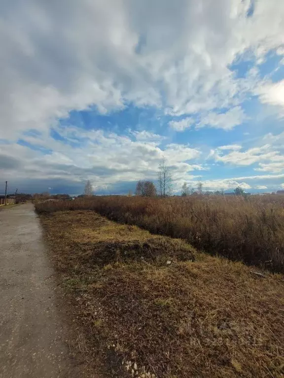 Участок в Пензенская область, Бессоновский район, с. Чемодановка ул. ... - Фото 1