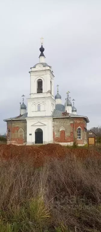 Участок в Владимирская область, Камешковский район, Второвское ... - Фото 0