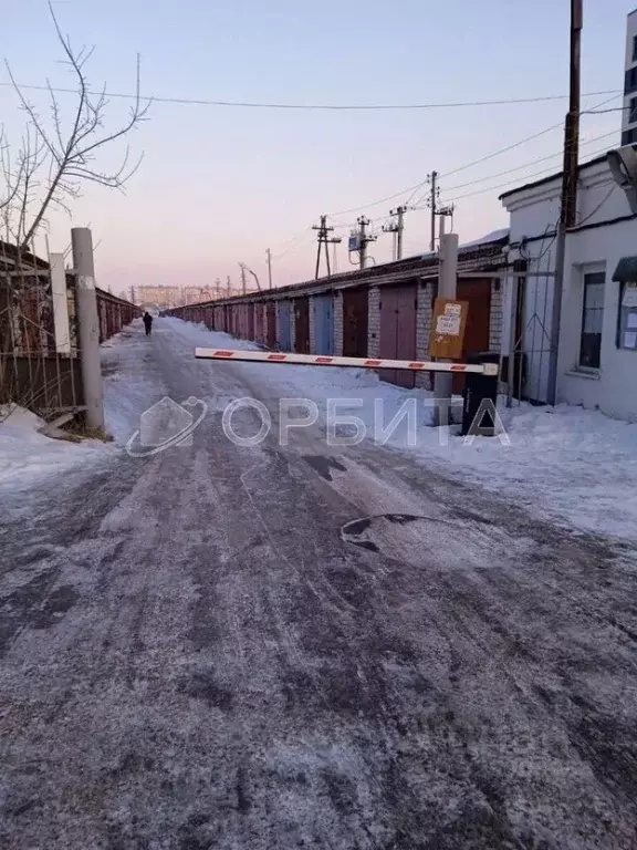 Гараж в Тюменская область, Тюмень ул. Ветеранов Труда, 39 (19 м) - Фото 1