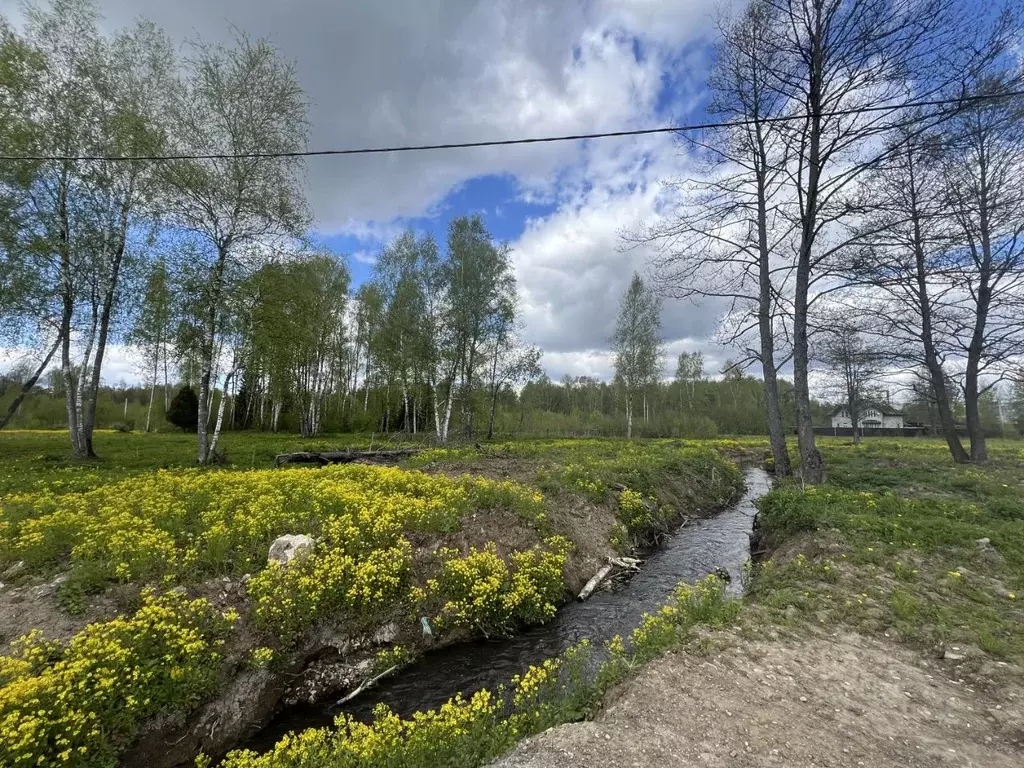 Участок в Московская область, Одинцовский городской округ, д. ... - Фото 1