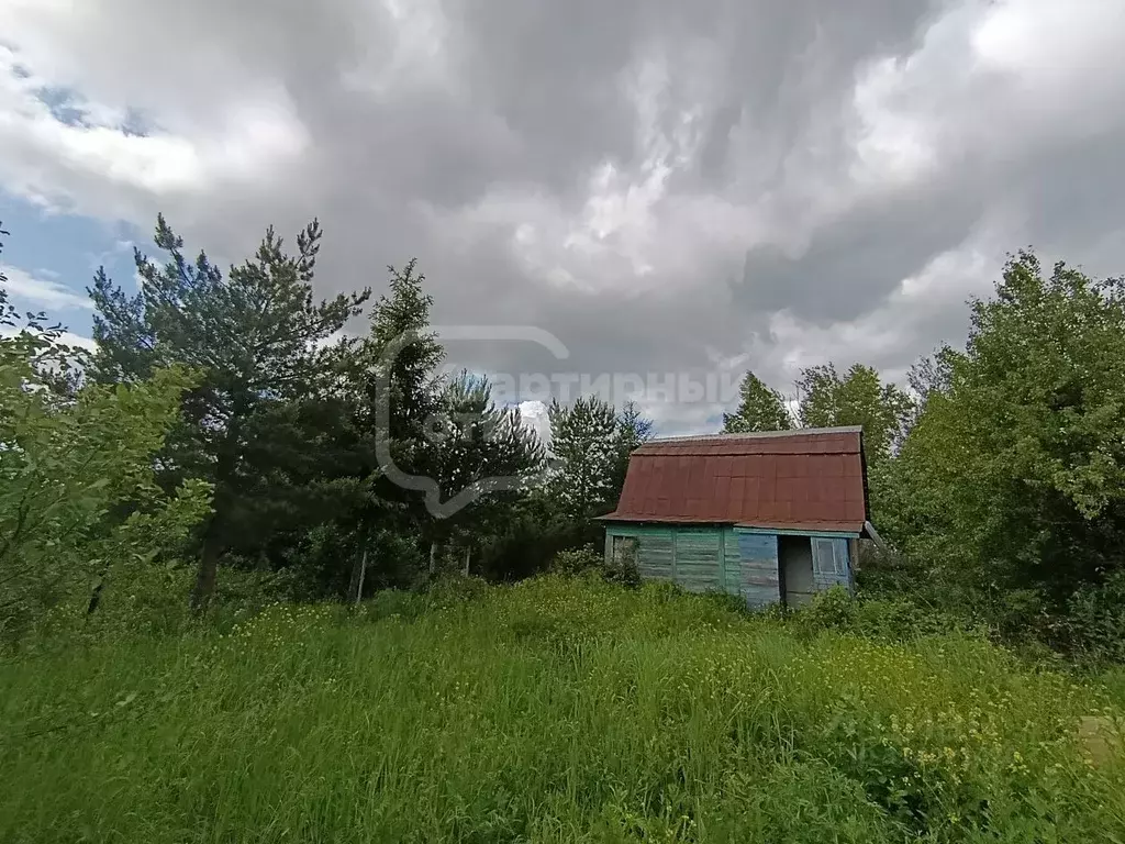 Дом в Владимирская область, Суздальский район, Новоалександровское ... - Фото 1