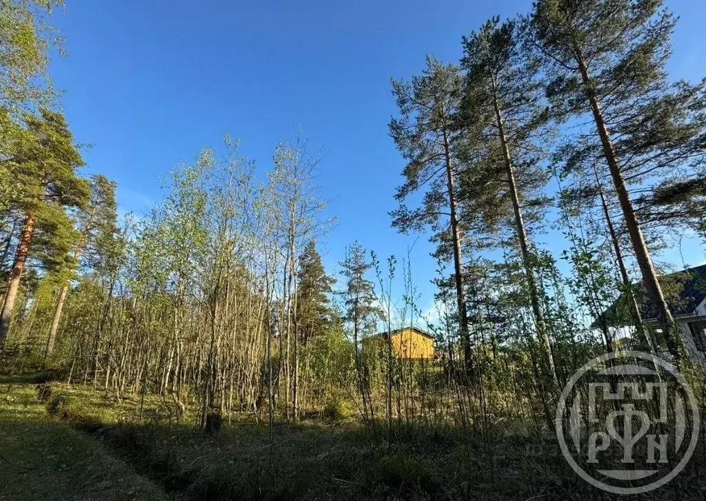 Участок в Ленинградская область, Выборгский район, Полянское с/пос, ... - Фото 2