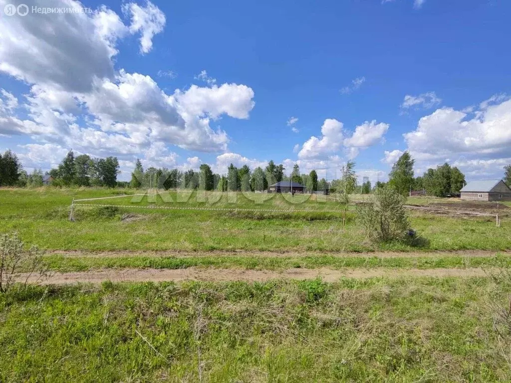Участок в Новосибирский район, село Верх-Тула (8.09 м) - Фото 0