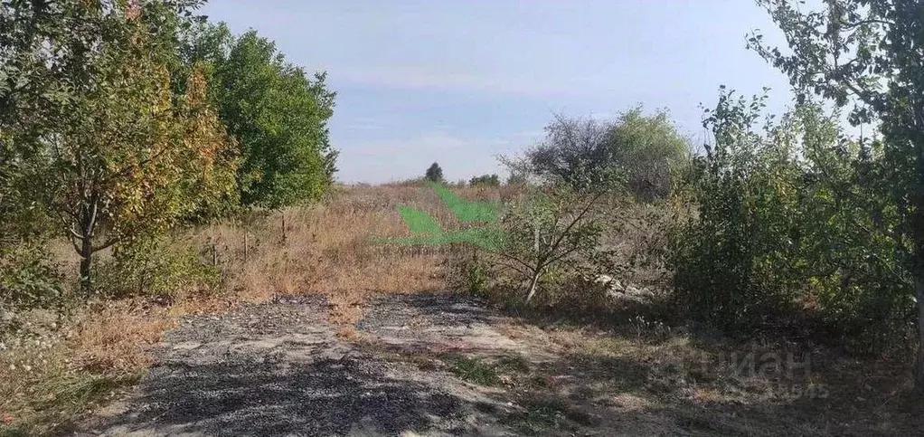 Участок в Белгородская область, Белгородский район, Разумное рп  (9.0 ... - Фото 1