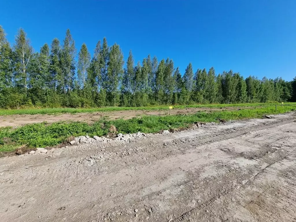 Участок в Ленинградская область, Всеволожский район, Свердловское ... - Фото 2