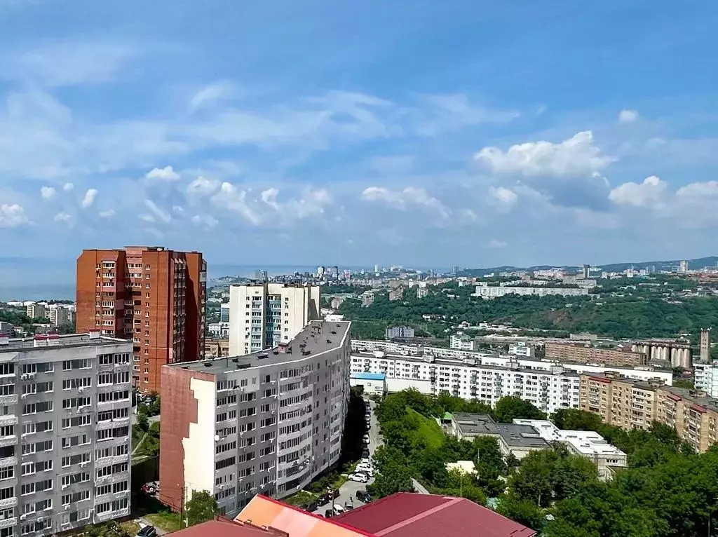 1-к кв. Приморский край, Владивосток ул. Толстого, 40А (60.0 м) - Фото 1