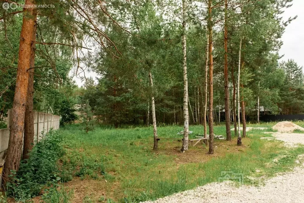 Участок в Спасский район, Панинское сельское поселение, деревня ... - Фото 1