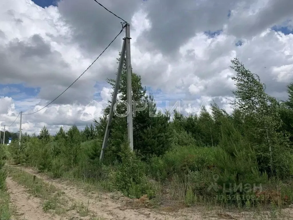 Участок в Тюменская область, Нижнетавдинский муниципальный округ, ... - Фото 1