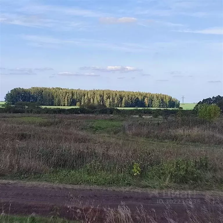 Участок в Рязанская область, Захаровский район, Добро-Пчельское с/пос, ... - Фото 1