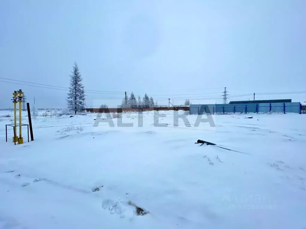 Участок в Ямало-Ненецкий АО, Новый Уренгой Дружба ТСН, проезд 6-й ... - Фото 0