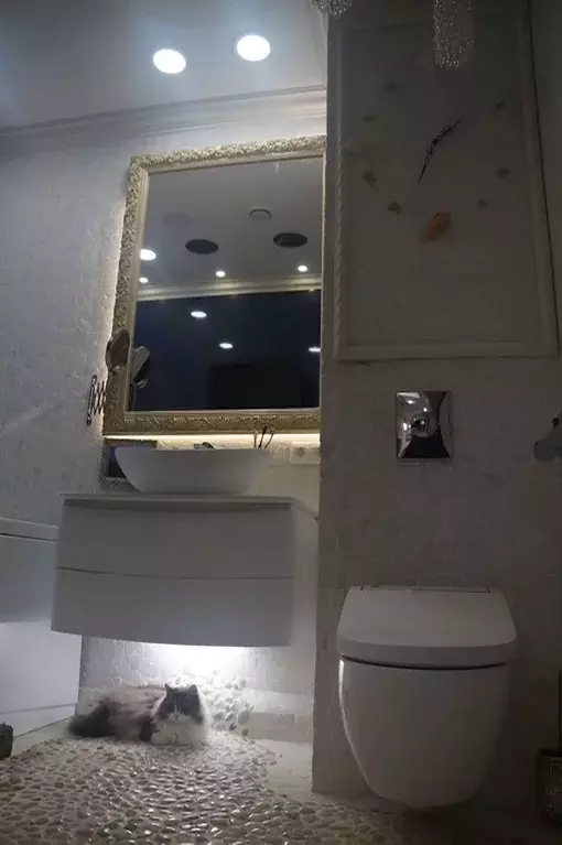 3-к кв. Московская область, Ивантеевка Пушкинский городской округ, ул. ... - Фото 2