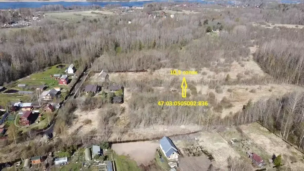 Участок в Ленинградская область, Приозерский район, Ромашкинское ... - Фото 1