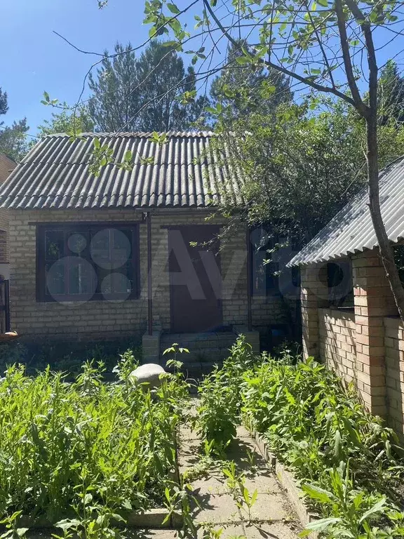 Дача 50,9 м на участке 11,8 сот. - Фото 0