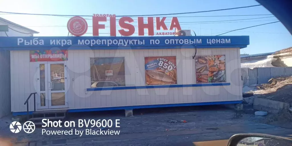 Павильон 40м2 - Фото 1
