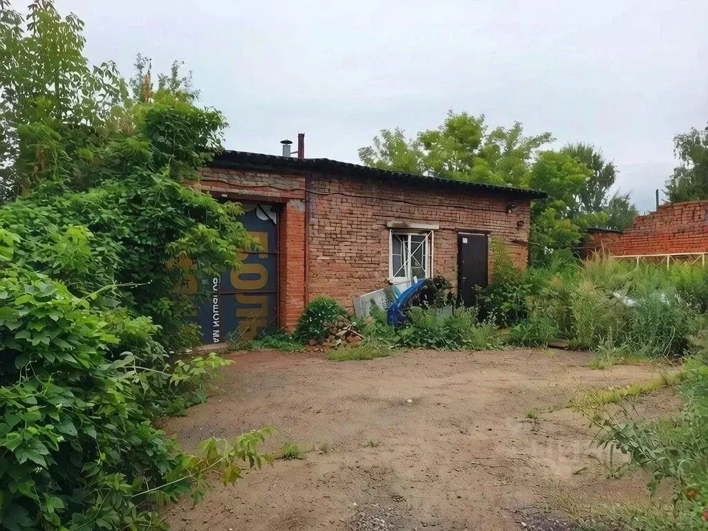 Помещение свободного назначения в Омская область, Омск Омская ул., 55 ... - Фото 1