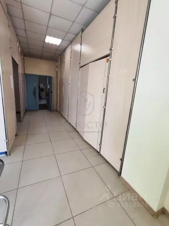 Торговая площадь в Новосибирская область, Новосибирск ул. Никитина, ... - Фото 1