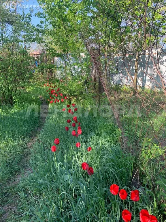 Участок в Новочеркасск, улица Флёрова (5.5 м) - Фото 0