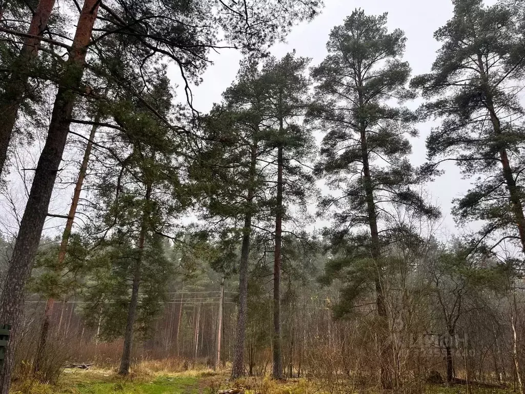 Участок в Ленинградская область, Гатчинский муниципальный округ, ... - Фото 2